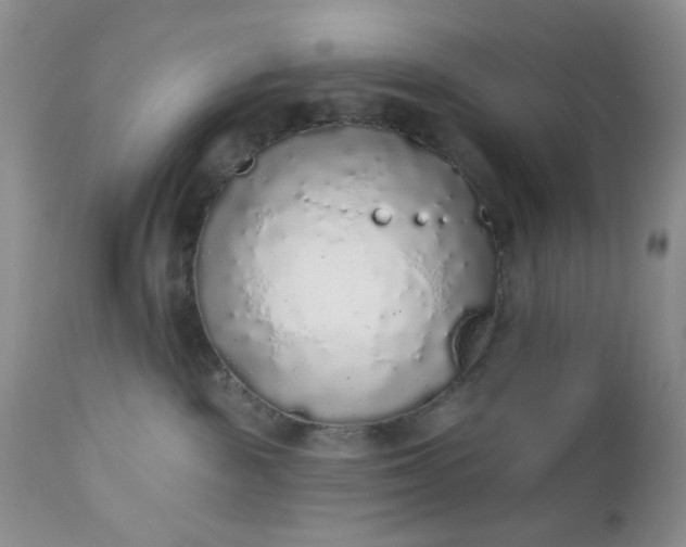 X0000112520189200908311407
