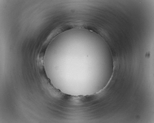 X0000112520190200908311407