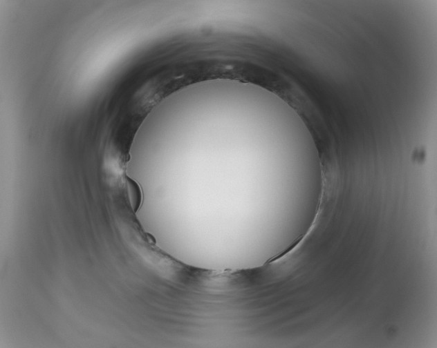 X0000112520191200908311407