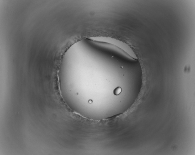 X0000112520192200908311407