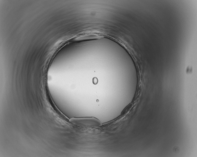 X0000112520193200908311406