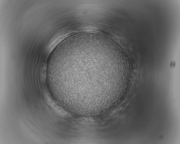 X0000112520194200908311406