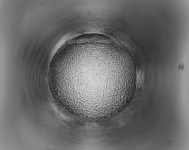 X0000112520195200908311406