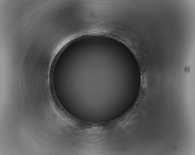 X0000112520196200908311406