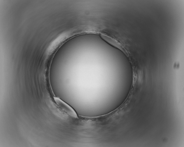 X0000112520197200908311406