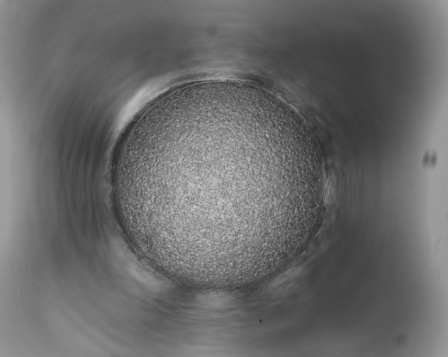 X0000112520198200908311406