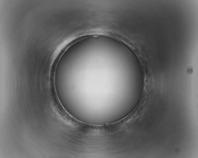 X0000112520200200908311405