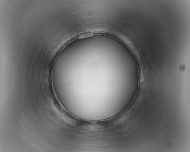 X0000112520201200908311405