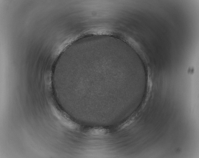 X0000112520202200908311405