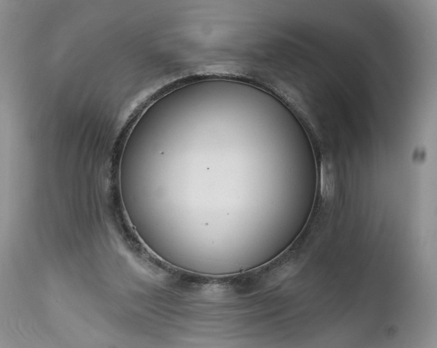X0000112520204200908311405