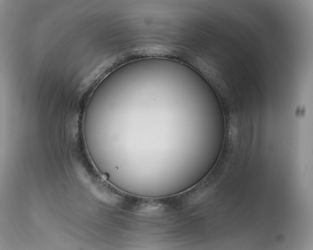 X0000112520206200908311405