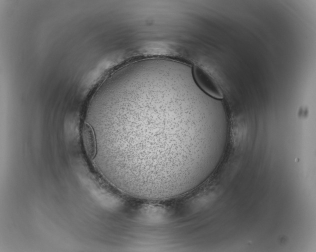 X0000112520207200908311405