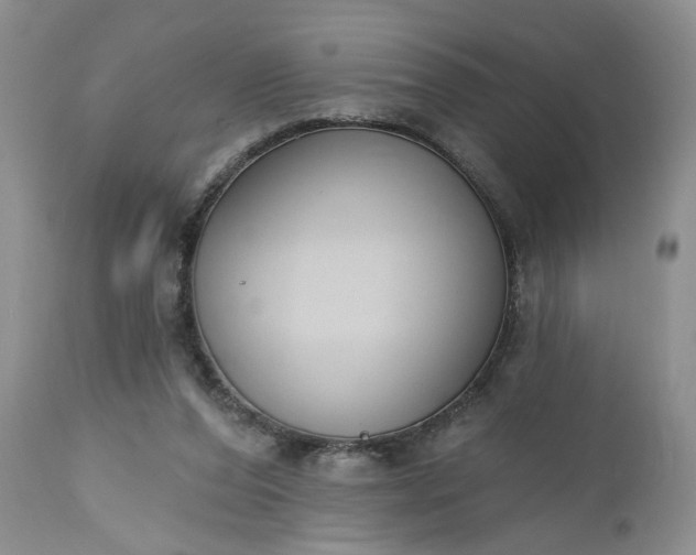 X0000112520208200908311405