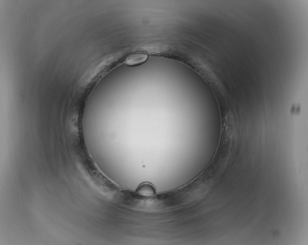 X0000112520212200908311405