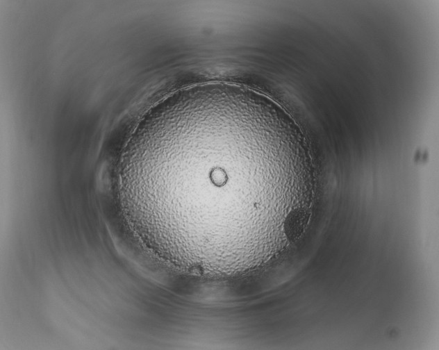 X0000112520214200908311405