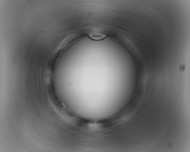 X0000112520216200908311405