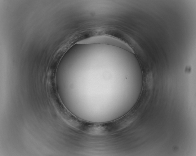 X0000112520217200908311405