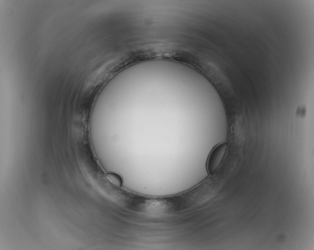 X0000112520218200908311405