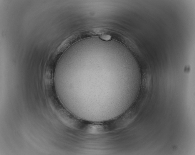 X0000112520220200908311405