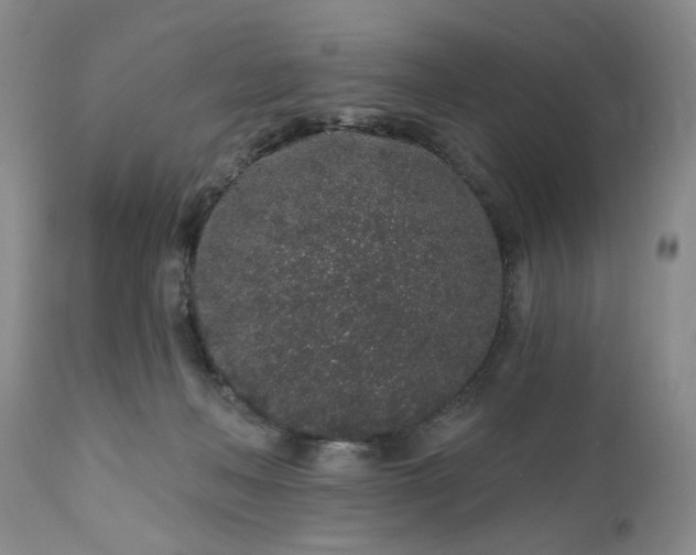 X0000112520222200908311405