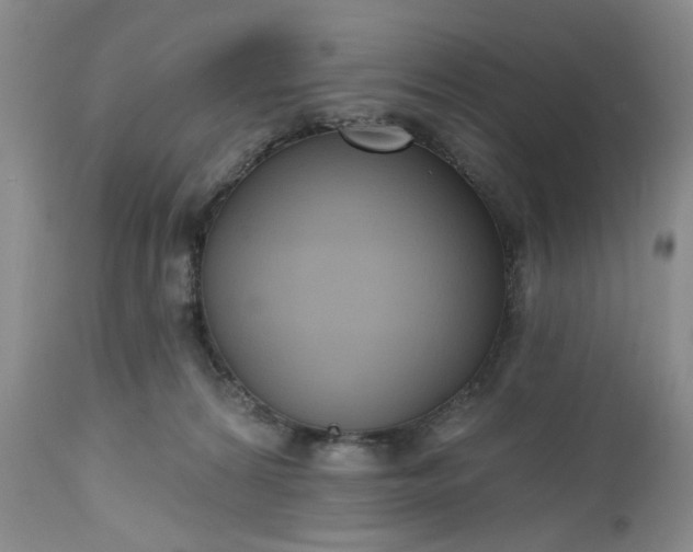 X0000112520224200908311405