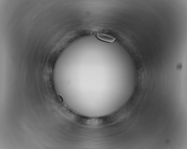 X0000112520225200908311405