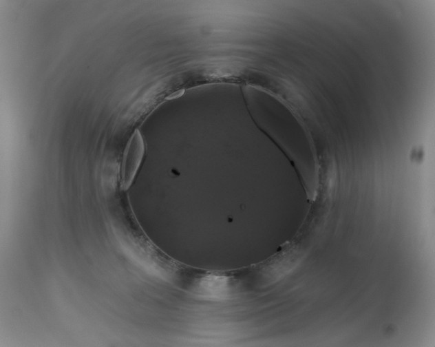 X0000112520227200908311405