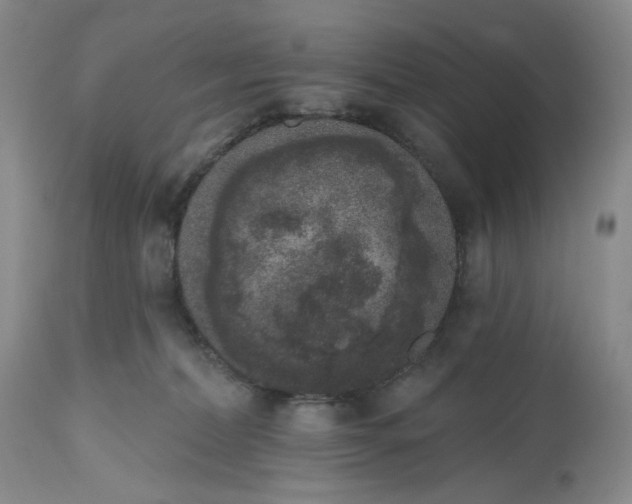 X0000112520228200908311405