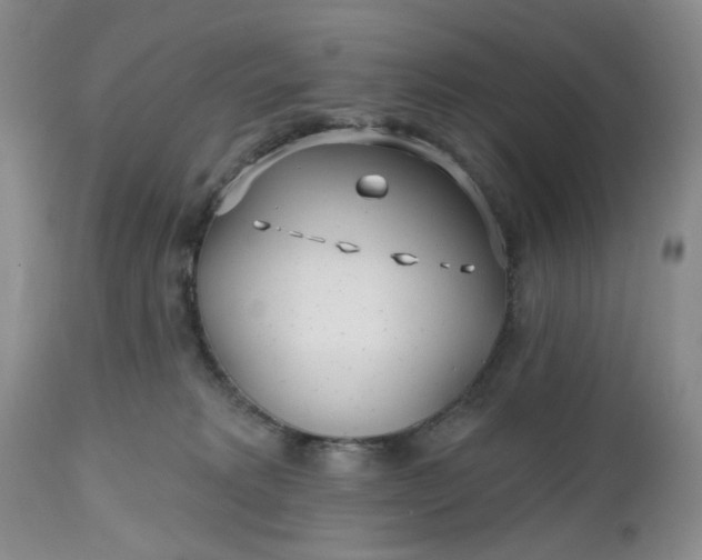 X0000112520229200908311405