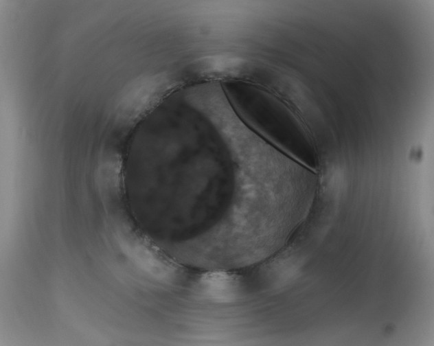 X0000112520231200908311405