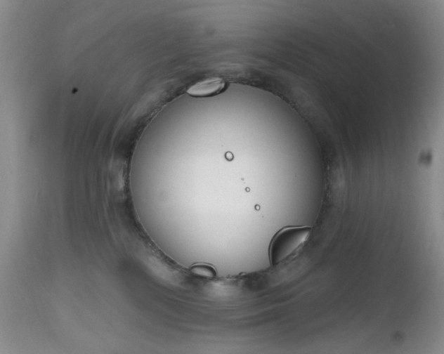 X0000112520232200908311405