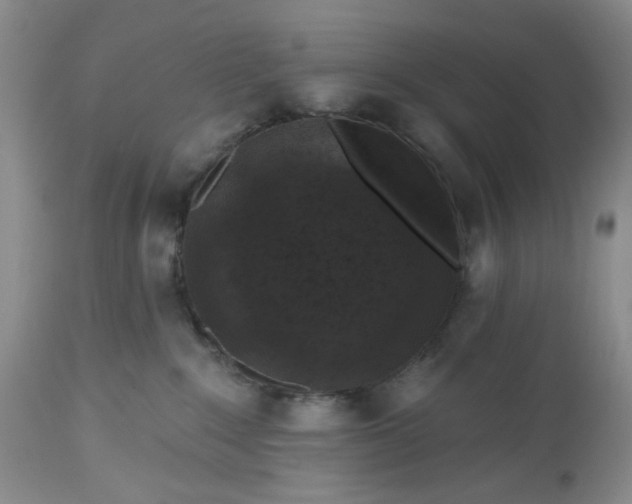 X0000112520235200908311405