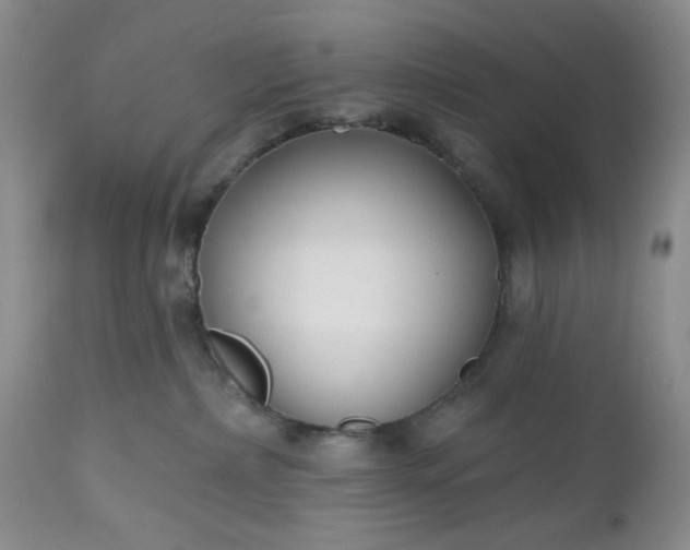 X0000112520236200908311405
