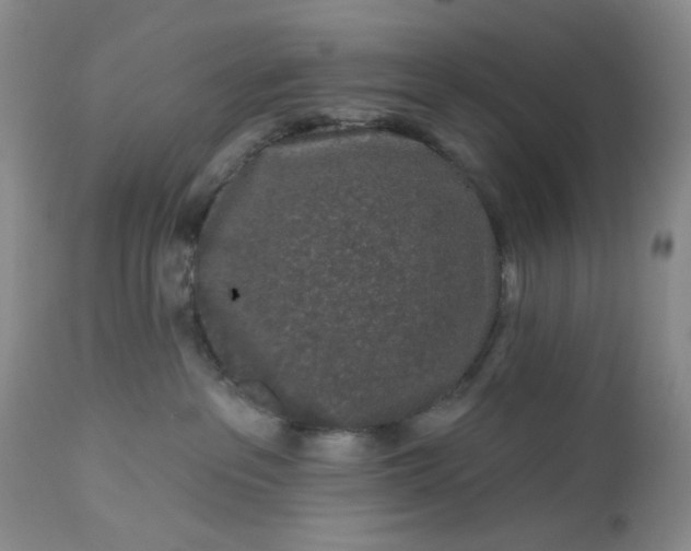 X0000112520237200908311405