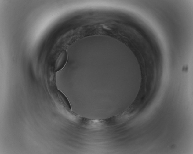 X0000112520239200908311405