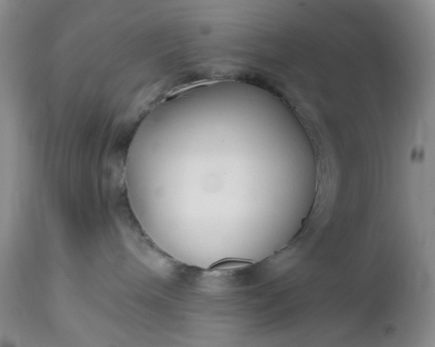 X0000112520240200908311405