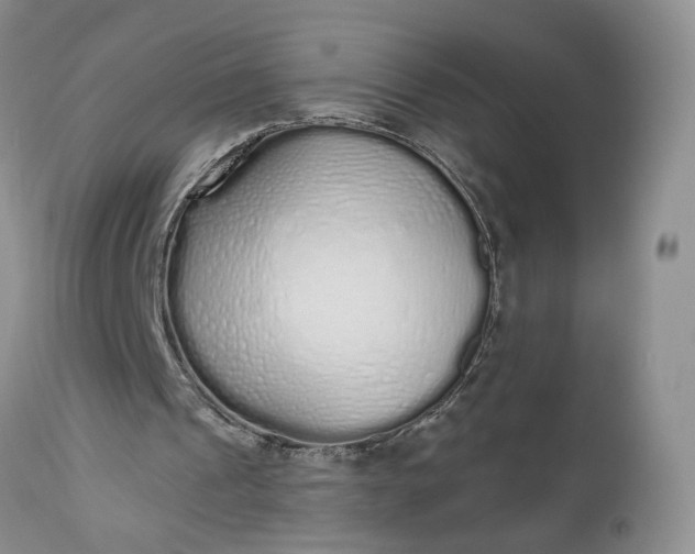 X0000112520241200908311404