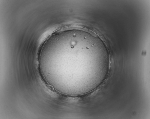 X0000112520245200908311404