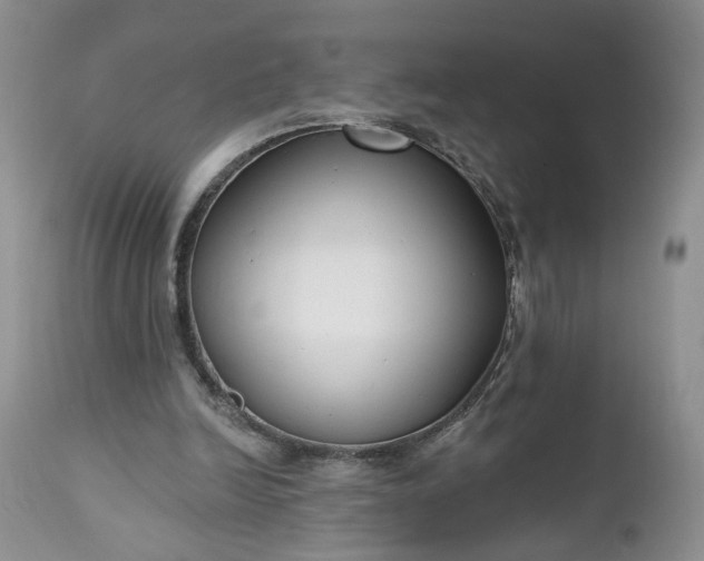 X0000112520246200908311404