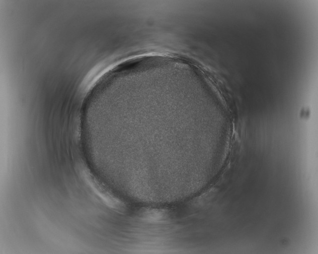 X0000112520247200908311404