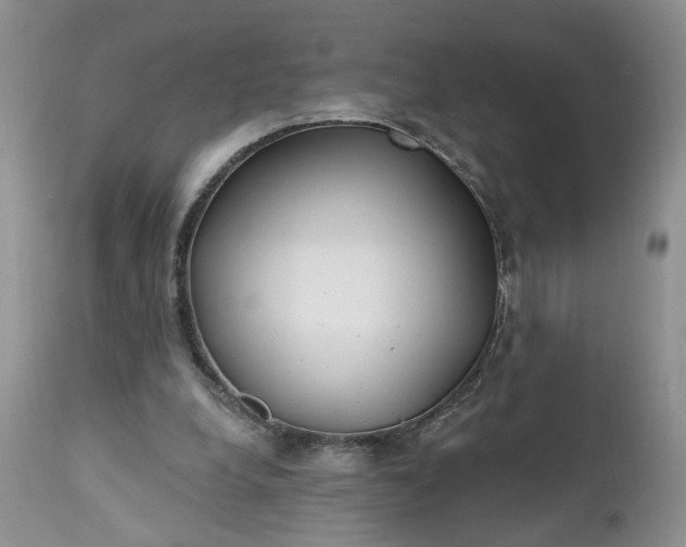 X0000112520248200908311404