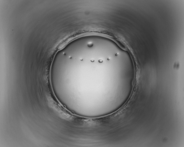 X0000112520249200908311404