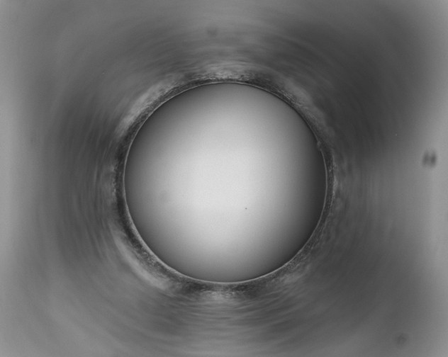 X0000112520250200908311404