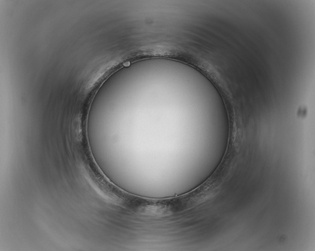 X0000112520251200908311404