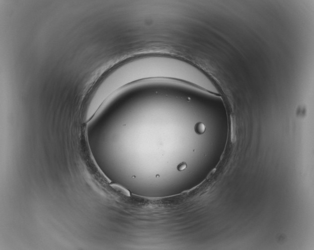 X0000112520252200908311404