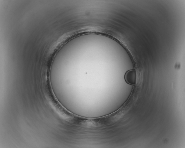 X0000112520253200908311404