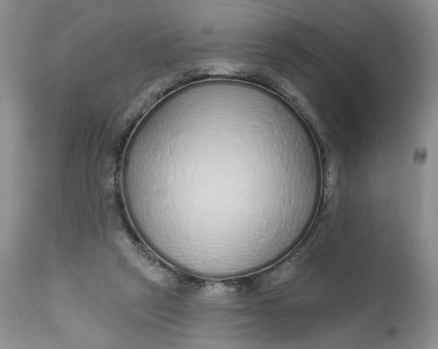X0000112520257200908311404