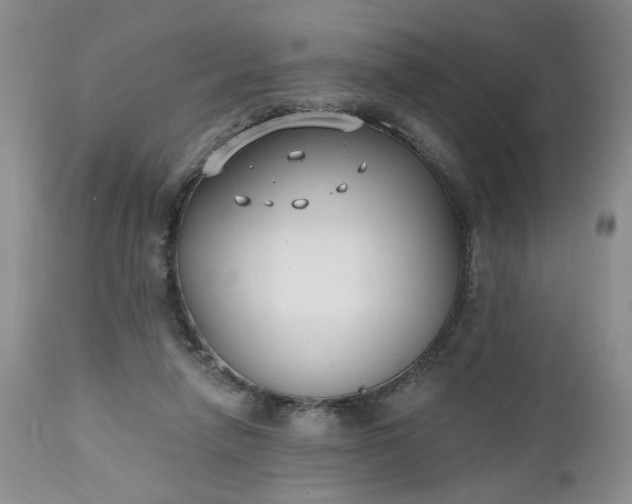 X0000112520258200908311404