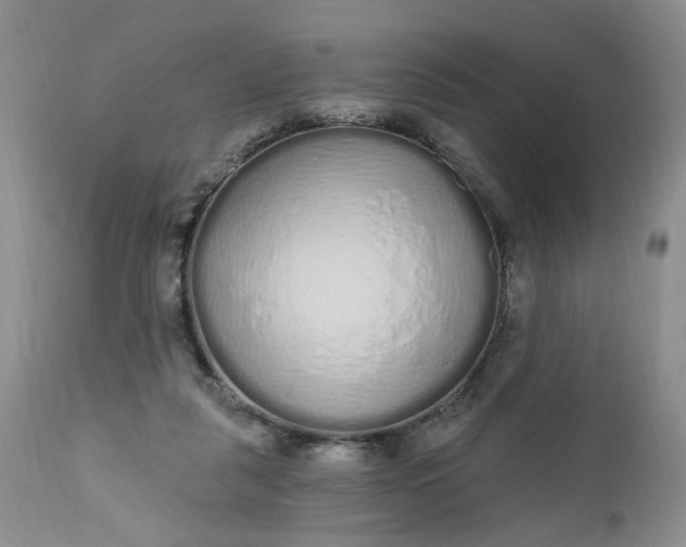 X0000112520259200908311404