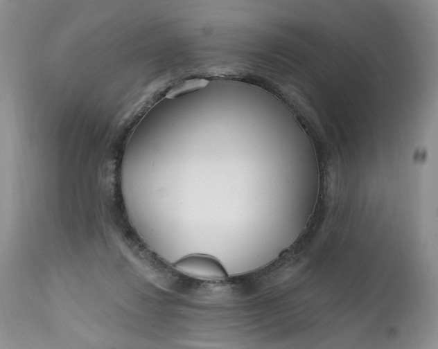 X0000112520260200908311404